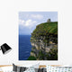 Republic Of Ireland Wall Mural