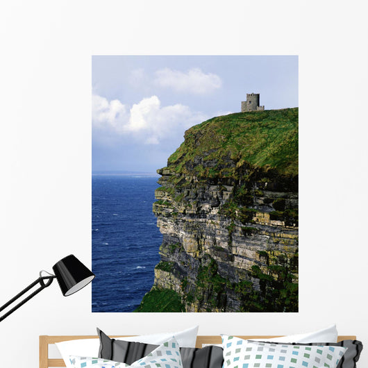 Republic Of Ireland Wall Mural