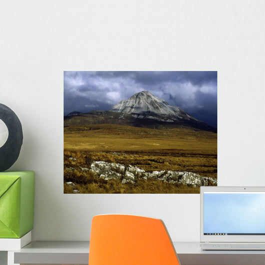 County Donegal, Mount Errigal, Ireland Wall Mural