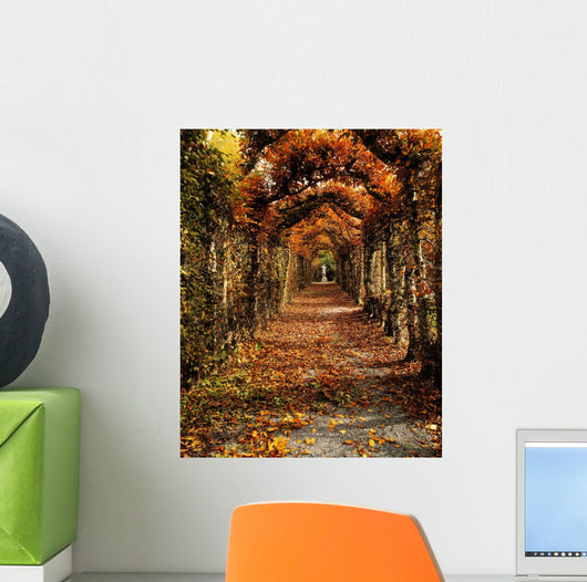 Hornbeam Alles, Birr Castle, Co Offaly, Ireland Wall Mural