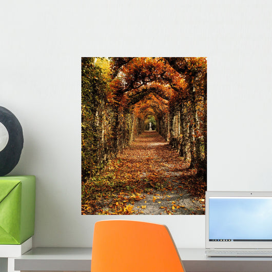 Hornbeam Alles, Birr Castle, Co Offaly, Ireland Wall Mural
