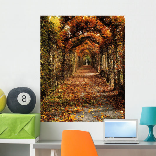 Hornbeam Alles, Birr Castle, Co Offaly, Ireland Wall Mural