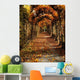 Hornbeam Alles, Birr Castle, Co Offaly, Ireland Wall Mural