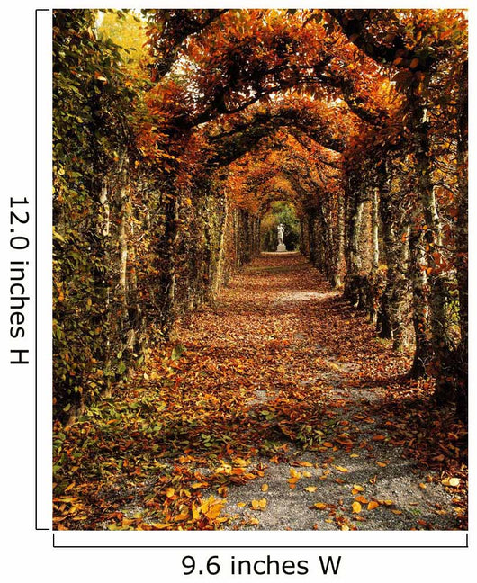 Hornbeam Alles, Birr Castle, Co Offaly, Ireland Wall Mural