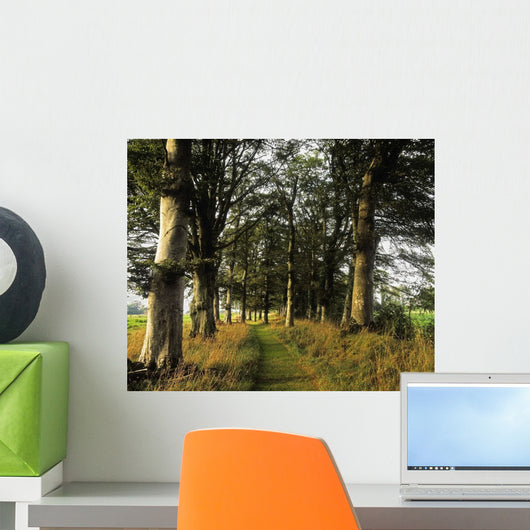 Larchill Arcadian Garden, County Kildare, Ireland Wall Mural
