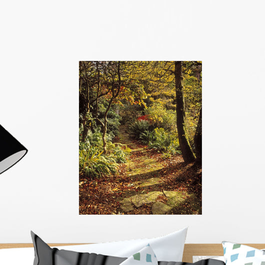 Woodland Path, Mount Stewart, Ards Peninsula, Co Down, Ireland Wall Mural