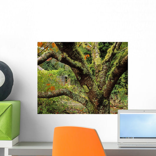 Lichen Covered Apple Tree, Walled Garden, Ilnacullin, Co Cork, Ireland Wall Mural