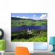 Ireland Wall Mural