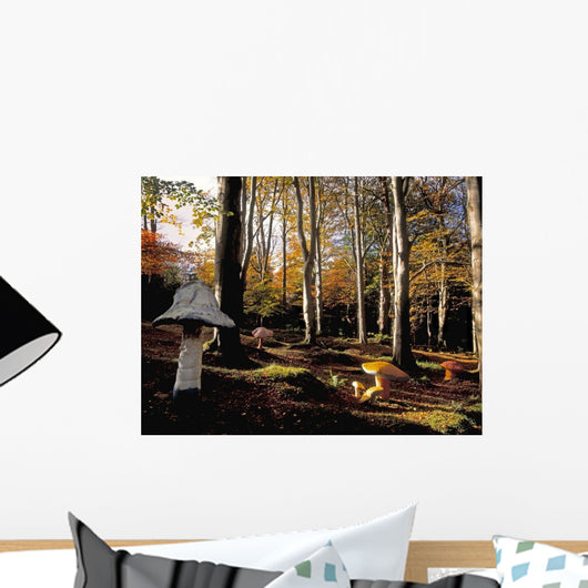 Mushrooms In A Forest Wall Mural