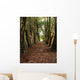 Lismore, County Waterford, Ireland Wall Mural