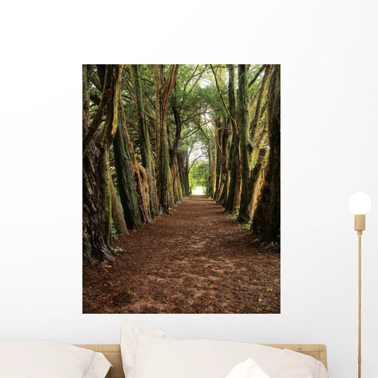 Lismore, County Waterford, Ireland Wall Mural