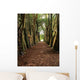 Lismore, County Waterford, Ireland Wall Mural