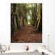 Lismore, County Waterford, Ireland Wall Mural