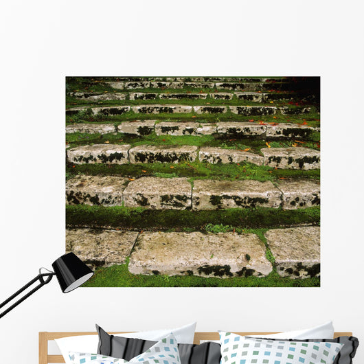 Steps On The Central Walk, Lismore Castle, Co Waterford, Ireland Wall Mural