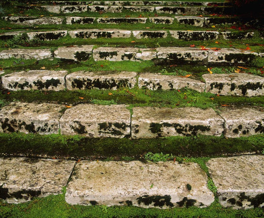 Steps On The Central Walk, Lismore Castle, Co Waterford, Ireland Wall Mural