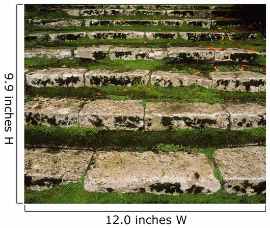 Steps On The Central Walk, Lismore Castle, Co Waterford, Ireland Wall Mural