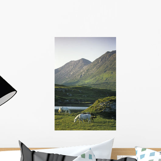 Horses Grazing On A Landscape, County Kerry, Republic Of Ireland Wall Mural