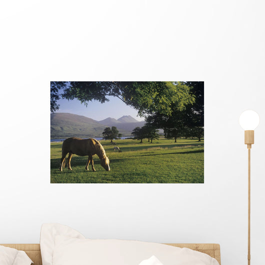 Horse Grazing On A Landscape Wall Mural