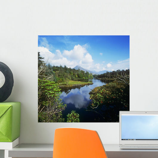 River Passing Through A Forest Wall Mural
