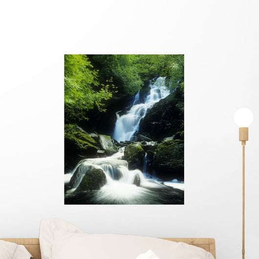 Waterfall In Killarney National Park, Ireland Wall Mural