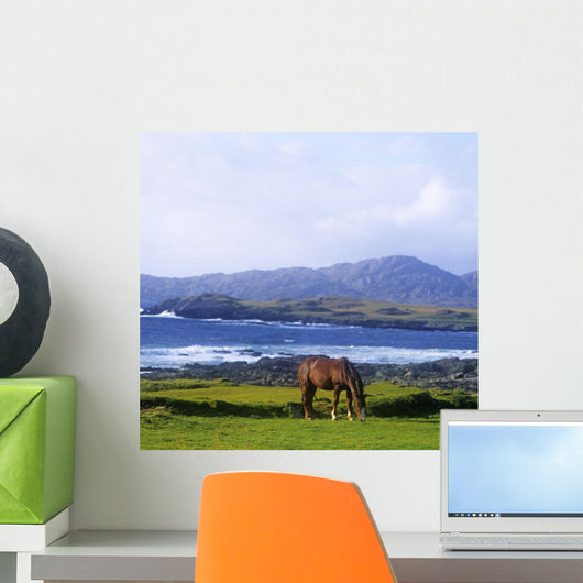 Horse Grazing In A Field Wall Mural