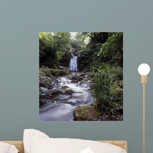 Waterfall In A Forest Wall Mural