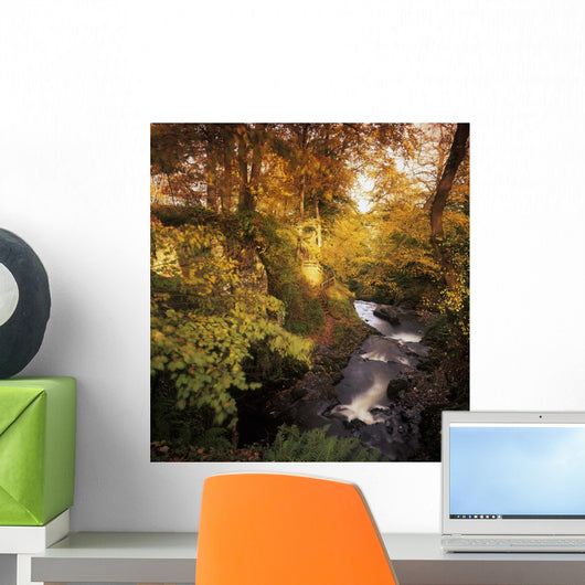 Flowing Water Through A Forest Wall Mural