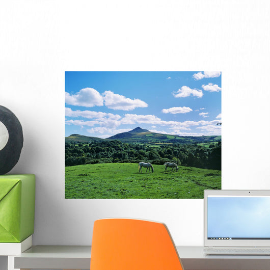 Two Horses Grazing In A Field Wall Mural