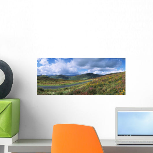 Road Through A Mountain Range, County Wicklow, Republic Of Ireland Wall Mural