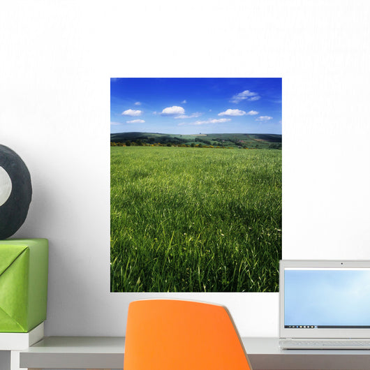 Wildflowers On A Landscape Wall Mural
