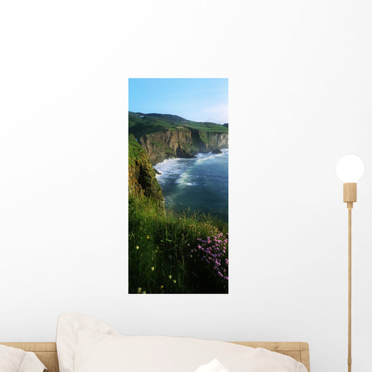 Wildflowers At The Coast, County Antrim, Northern Ireland Wall Mural