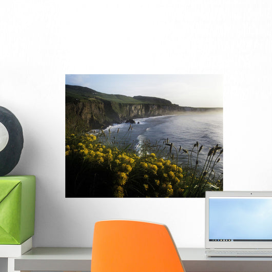 Wildflowers At The Coast, County Antrim, Northern Ireland Wall Mural