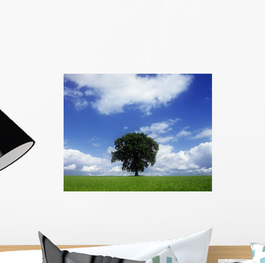 Oak Tree On A Landscape, County Meath, Republic Of Ireland Wall Mural