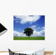 Oak Tree On A Landscape, County Meath, Republic Of Ireland Wall Mural