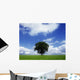 Oak Tree On A Landscape, County Meath, Republic Of Ireland Wall Mural