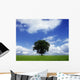 Oak Tree On A Landscape, County Meath, Republic Of Ireland Wall Mural