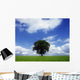 Oak Tree On A Landscape, County Meath, Republic Of Ireland Wall Mural