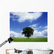 Oak Tree On A Landscape, County Meath, Republic Of Ireland Wall Mural
