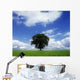 Oak Tree On A Landscape, County Meath, Republic Of Ireland Wall Mural