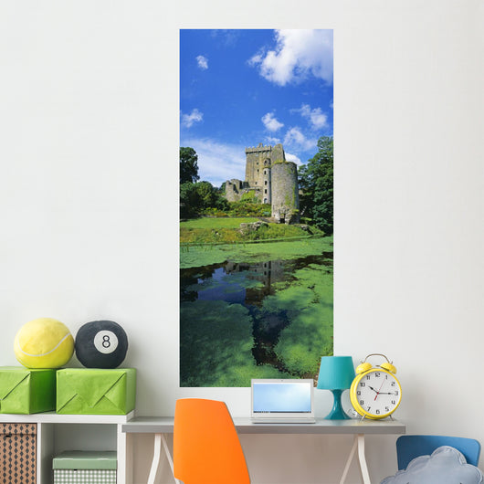 Pond In Front Of A Castle Wall Mural