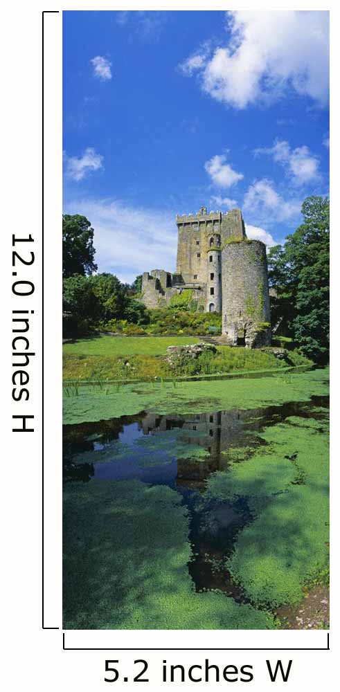 Pond In Front Of A Castle Wall Mural