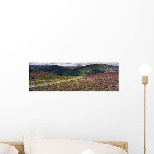 Country Road Passing Through A Landscape Wall Mural