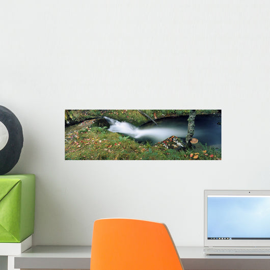 High Angle View Of A River In A Forest, Republic Of Ireland Wall Mural