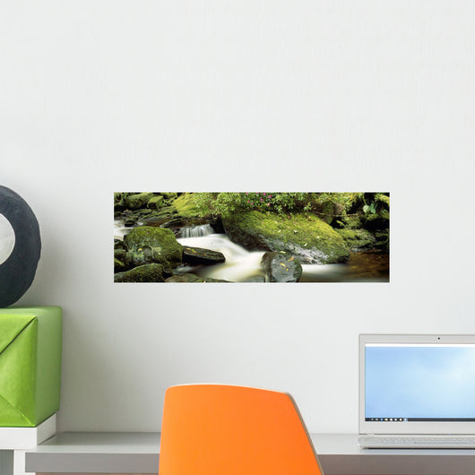 River Flowing Through A Forest Wall Mural