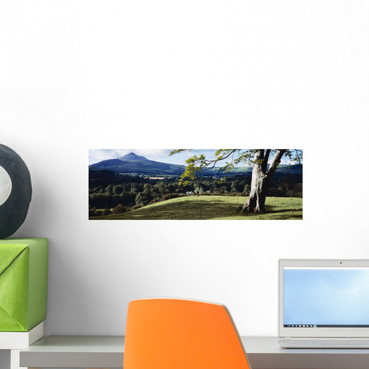Tree In A Field, Great Sugar Loaf, County Wicklow, Republic Of Ireland Wall Mural