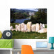 Castlewellan Castle, Castlewellan, Co Down, Ireland Wall Mural