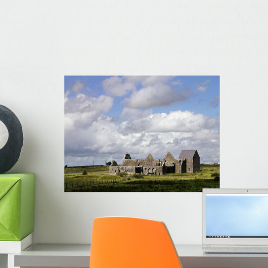 Abbeyknockmoy, Cistercian Abbey Of Knockmoy, Co Galway, Ireland Wall Mural