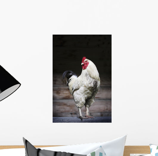 Rooster On A Fence Wall Mural