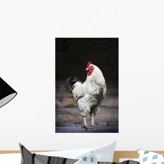 Rooster On A Fence Wall Mural