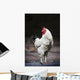 Rooster On A Fence Wall Mural
